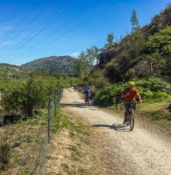 Biking along the Kawarau river, Otago New Zealand