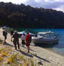 Heading off to the Wildlife Sanctuary at Mou Waho Island