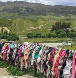 Cardrona Bra Fence, Otago New Zealand