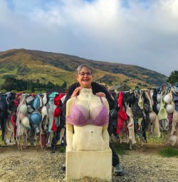 Cardrona bra fence