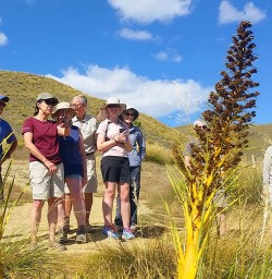walkers on the crown range