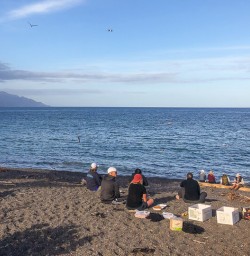 Fish and chips on the beach at Kaikoura, Canterbury New Zealand