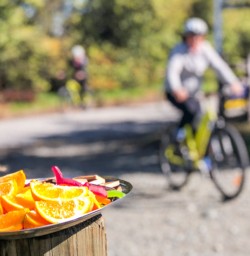 Fruits and Chocolate after the Arrow River Bridges Ride, Otago New Zealand