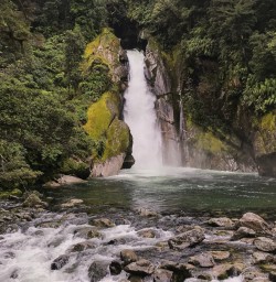 Giant Gate Falls, Milford Track Fiordland New Zealand