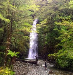 Giants Gate Falls on the Milford Track
