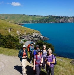 Godley Head new zealand walking tours 