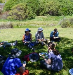 Godley Head small walking tours 