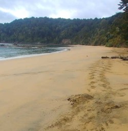 Golden beach Stewart Island2