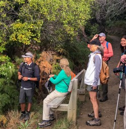 Group at Mou Waho Island, Wanaka Otago New Zealand