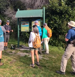 Group at Mou Waho Island, Wanaka Otago New Zealand