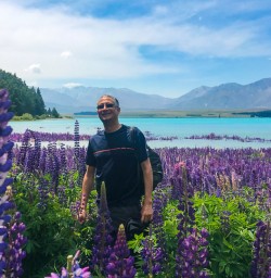 Guest among lupins Lake Tekapo