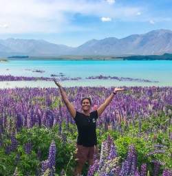 Guide among lupins Lake Tekapo