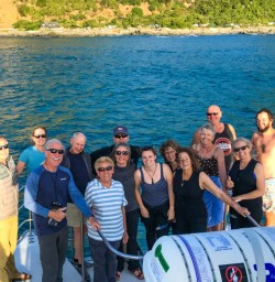 Guided tour on dolphin encounter