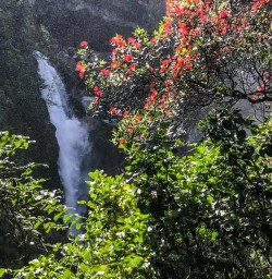 Hidden Falls at Hollyford Track, Fiordland National Park Southland New Zealand