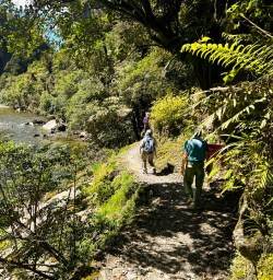 Hiking adventures new zealand