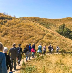 Hiking through the hills of Waitomo