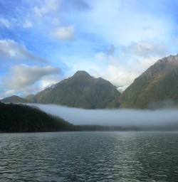 A misty morning for the jet boat trip out of Martin's Bay