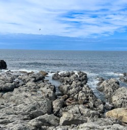 Kaikoura exploring