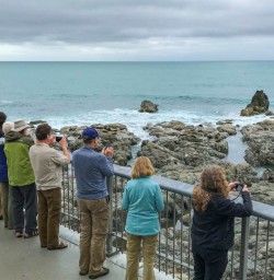 Kaikoura seabed