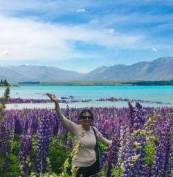 Lake Tekapo lupins and guest