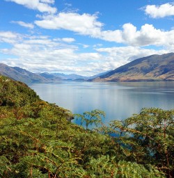 lake wanaka new zealand