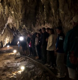 Limestone rock formations of Waitomo Caves