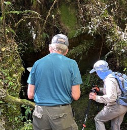 Luxury hiking tours paparoa