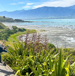 Mackenzie country tours