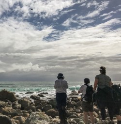 Martins Bay seal colony, Fiordland New Zealand