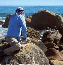 Getting up close with the locals at Martins Bay Seal Colony