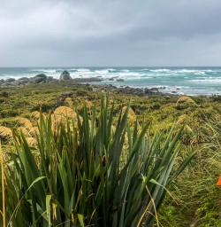 Martins Bay, Fiordland National Park Southland New Zealand