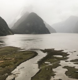 Milford sound view from helicopter, Milford Sound Fiordland Southland New Zealand