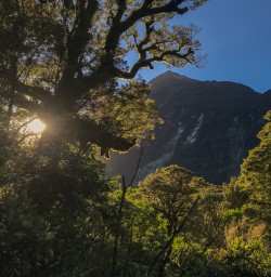 Milford Track, Fiordland New Zealand