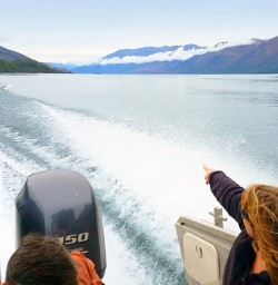 boat trip to mou waho island