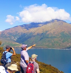 guided tour at mou waho island 