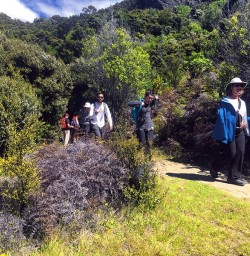 Hiking Mou Waho Island