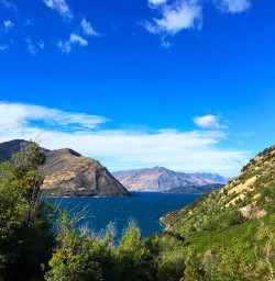 Views across Lake Wanaka from Mou Waho Island