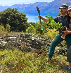 Planting at Mou Waho Island