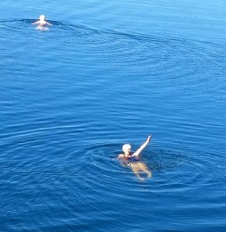 nz trails guide marilyn and hikers swimming at mou waho island new zealand