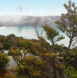 view of the lake on mou waho island