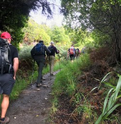 Hiking at Mou Waho Island