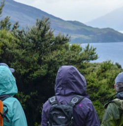 Mou Waho Island Walking Tour, Lake Wanaka New Zealand