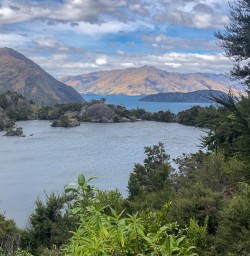 Mou Waho Island, Wanaka Otago New Zealand