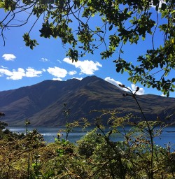 View on Mou Waho Island