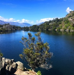 View on Mou Waho Island