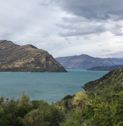 Mou Waho Island, Wanaka Otago New Zealand