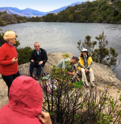 5 mou waho island wanaka otago