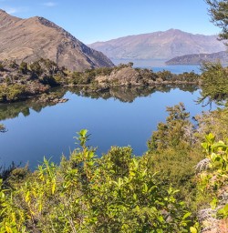 Mou Waho Island, Lake Wanaka Otago New Zealand