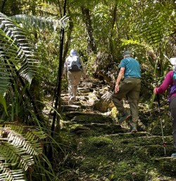New Zealand hiking tours adventure
