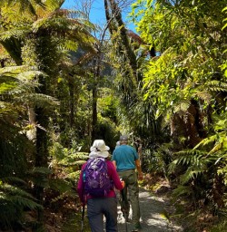 Paparoa national park hiking adventure